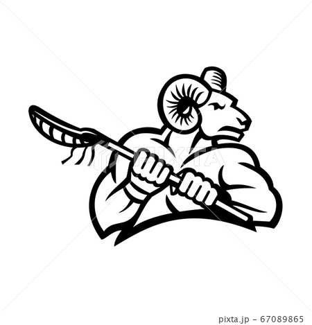 Bighorn Ram Mountain Goat or Sheep Holding a 67089865