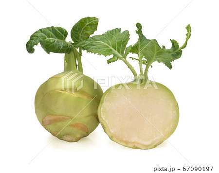 Fresh kohlrabi with green leaves isolated on white backround Fresh kohlrabi with green leaves isolated on white backround 67090197