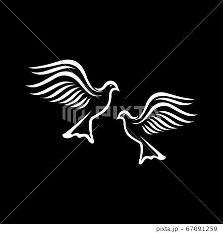 Bird wing Dove icon Template vector illustration 67091259