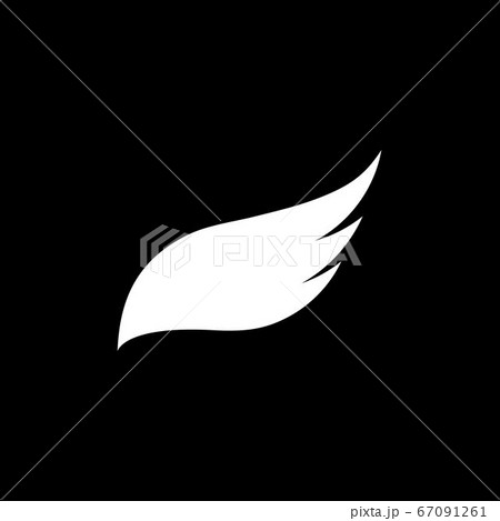 Bird wing Dove icon Template vector illustration 67091261