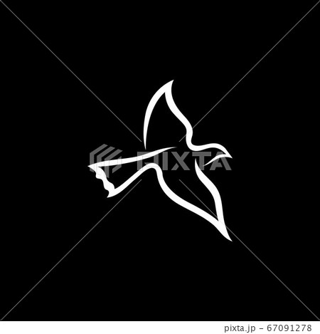 Bird wing Dove icon Template vector illustration Bird wing Dove icon Template vector illustration 67091278