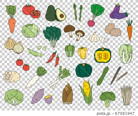 手書きの野菜のイラストのセット シンプル おしゃれ 線画のイラスト素材