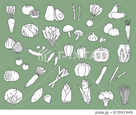 手書きの野菜のイラストのセット シンプル おしゃれ 線画のイラスト素材