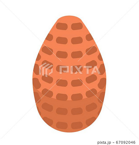 Season pine cone icon, isometric style 67092046