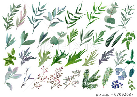 Huge set of watercolor leaves and branches, hand drawn Huge set of watercolor leaves and branches, hand drawn 67092637