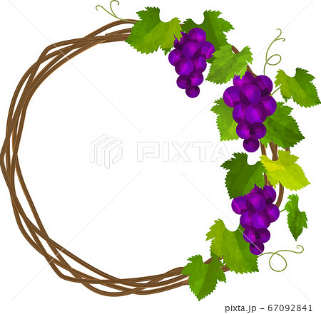 紫色のぶどうと蔦の丸フレーム リースのイラスト素材