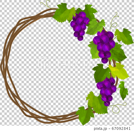 紫色のぶどうと蔦の丸フレーム リースのイラスト素材