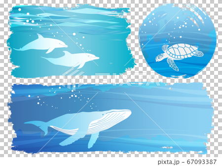 海の生き物の絵 【B2サイズ 自作】 タイムーセル‼️】海の生き物の絵 【B2サイズ 自作】 Amazon.co.jp: 20