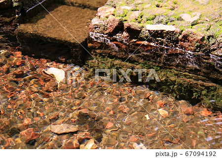 清流の流れ 67094192