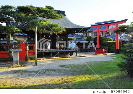 滋賀県大津市　唐崎神社境内からの拝殿と松と鳥居 67094946