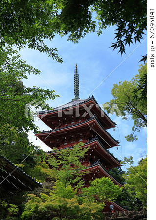 新緑に囲まれる五重の塔（高知県 五台山竹林寺）の写真素材 [67095041