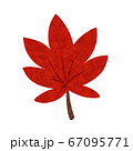 紅葉赤色png  67095771