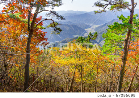 関西百名山、西床尾山から和田山町方面の紅葉風景(兵庫県朝来市和田山町)※作品コメント欄に撮影位置 関西百名山、西床尾山から和田山町方面の紅葉風景(兵庫県朝来市和田山町)※作品コメント欄に撮影位置 67096699