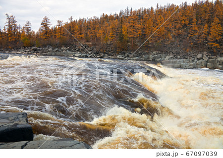 River Moiero and Siberian taiga in the autumn River Moiero and Siberian taiga in the autumn 67097039