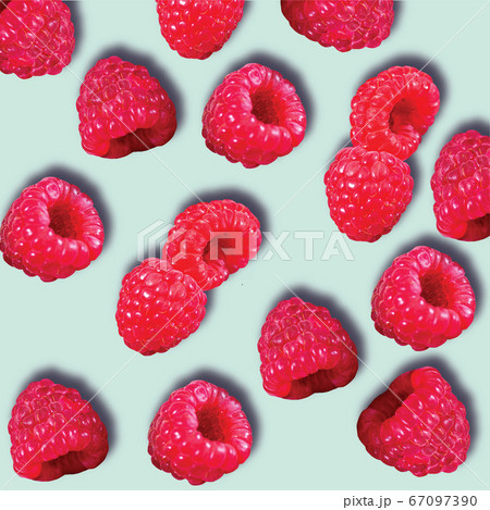 Pattern of Raspberries 67097390