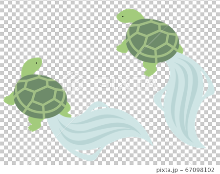 和風の亀のイラストのイラスト素材