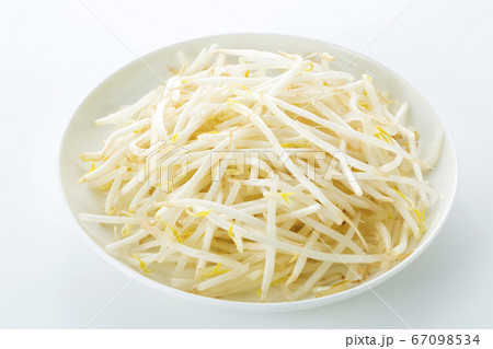 もやし もやし 67098534