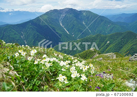 北岳からの仙丈ヶ岳と花畑 67100692