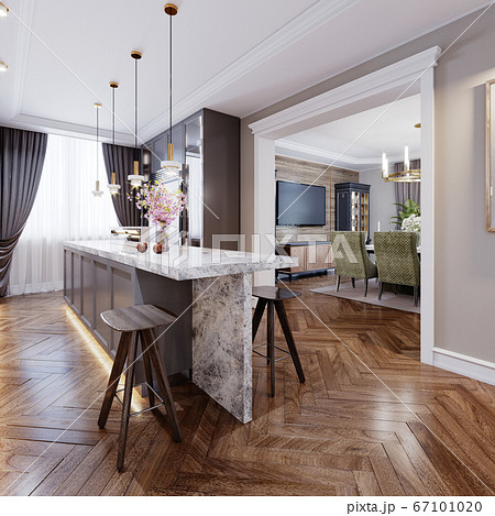 Fashionable modern kitchen with gray contemporary 67101020