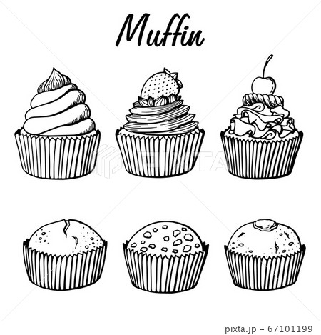 Cupcake collection with different flavors 67101199