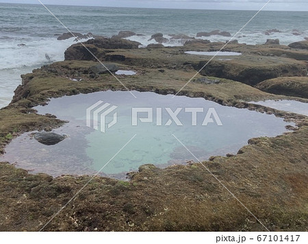 石垣島　2020　ハートロック 67101417