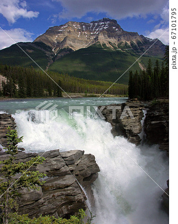 カナディアンロッキーの滝 カナディアンロッキーの滝 67101795