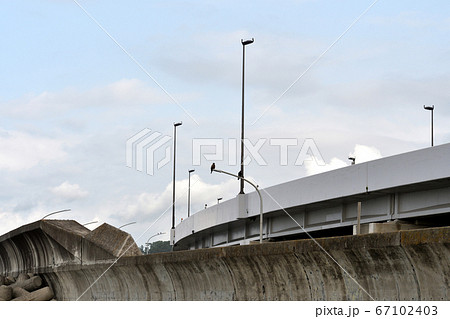 神奈川県大磯 照ヶ崎海岸 トビとカラス 67102403