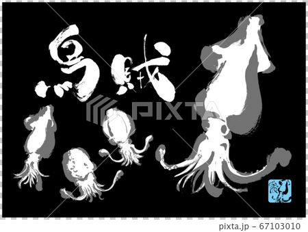 イカの手書きイラスト集合 筆文字で烏賊のイラスト素材