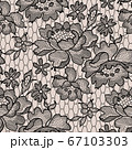 Vector lace 67103303