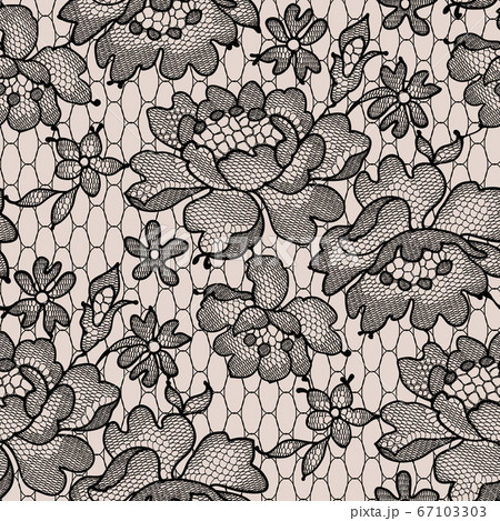 Vector lace 67103303