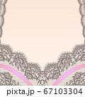 Vector lace 67103304