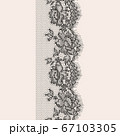 Vector lace 67103305