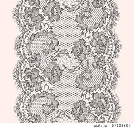 Vector lace 67103307
