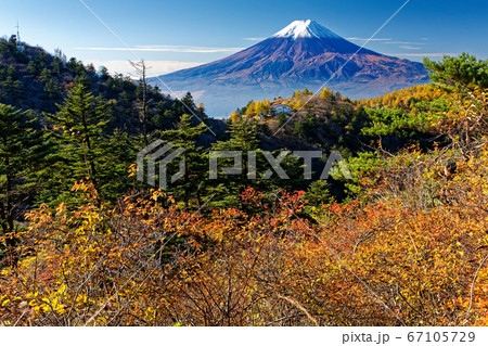 三ツ峠の紅葉と朝の富士山 67105729