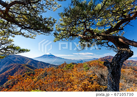清八山から見る富士山と紅葉 67105730