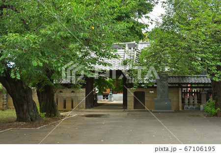 見沼田圃:正福寺 真言宗智山派 山門 見沼田圃:正福寺 真言宗智山派 山門 67106195