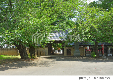 見沼田圃:正福寺 真言宗智山派 山門 見沼田圃:正福寺 真言宗智山派 山門 67106759
