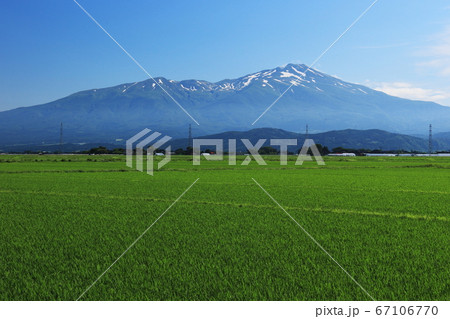 山形庄内平野　初夏　田園風景と鳥海山 67106770