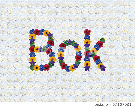 花「こんにちは（クロアチア語_A）」（ヨハネパウロ2世） 67107031