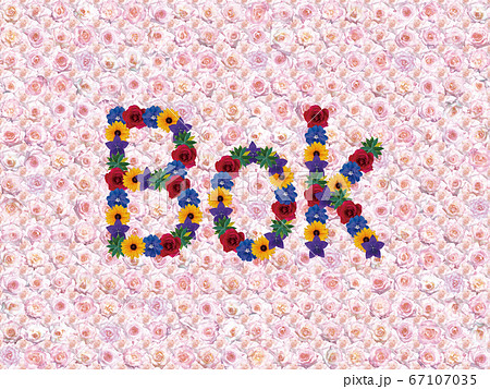 花「こんにちは（クロアチア語_A）」（カリフォルニアドリーミング） 67107035
