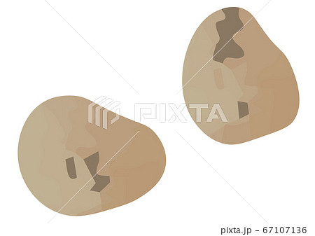 ムカゴのイラスト ムカゴのイラスト 67107136