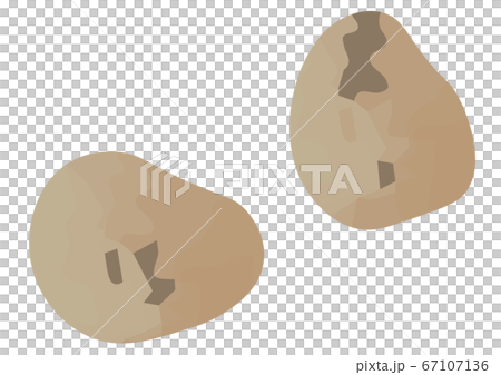 ムカゴのイラスト ムカゴのイラスト 67107136