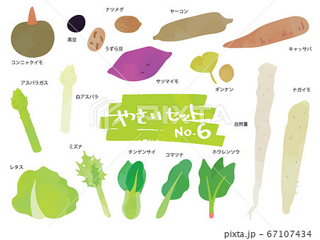 野菜のイラストセット　6 67107434