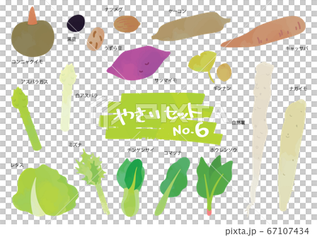 野菜のイラストセット　6 67107434
