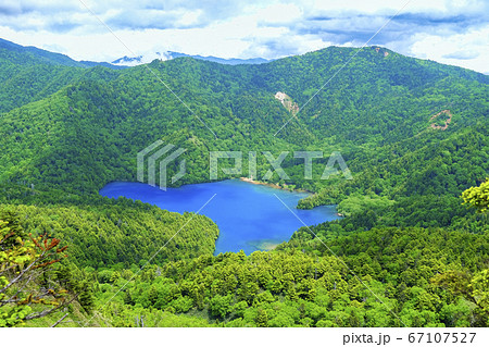 赤石山と大沼池 67107527