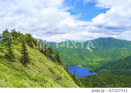 山に囲まれた大沼池 山に囲まれた大沼池 67107531