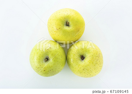 王林　青リンゴ 67109145