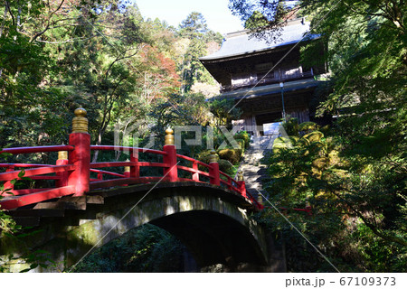 雲巌寺 2019-11-2 #7 雲巌寺 2019-11-2 #7 67109373