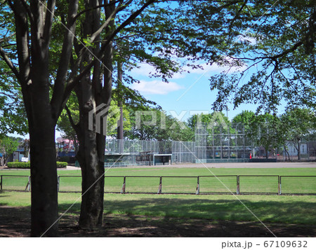 晴れた日の地方球場　グランド　 67109632