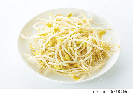 もやし もやし 67109662